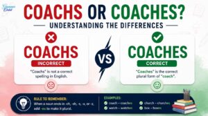 Coachs or Coaches