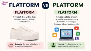 Flatform vs Platform