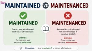 Maintained vs Maintenanced