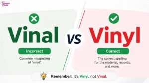 Vinal vs Vinyl