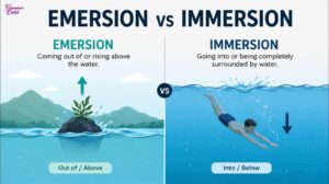 Emersion vs Immersion