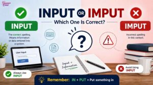 Input or Imput