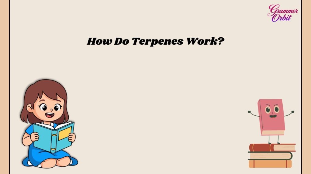 Terpenes Meaning